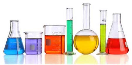 Ragab Export & Importb